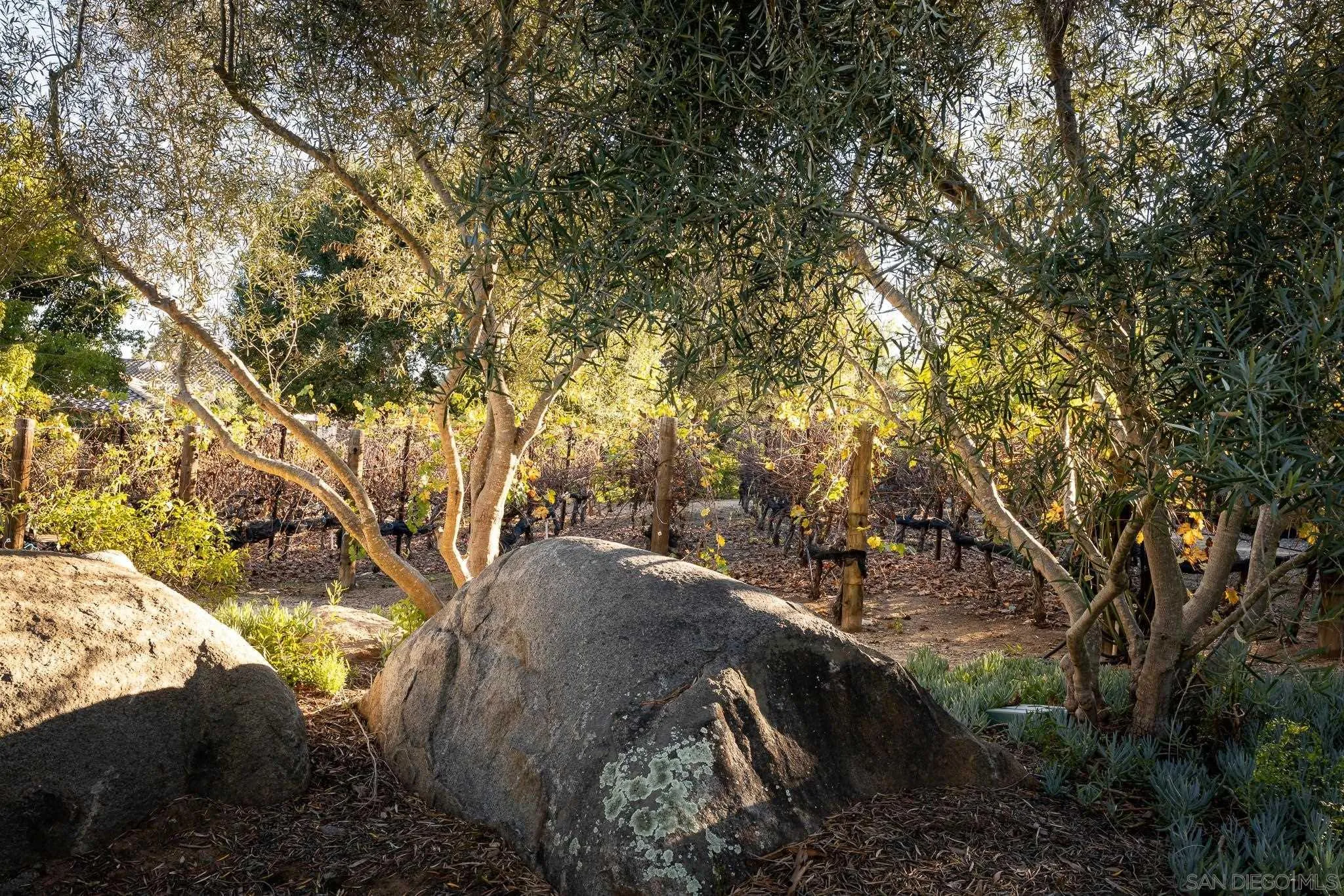 14014 Lake Poway Road Poway, CA 92064 - Photo 47 of 55 a view of an outdoor space with yard