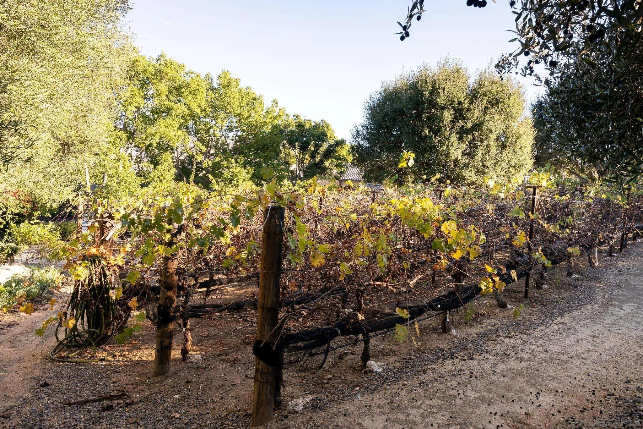 14014 Lake Poway Road Poway, CA 92064 - Photo 48 of 55 a view of outdoor space