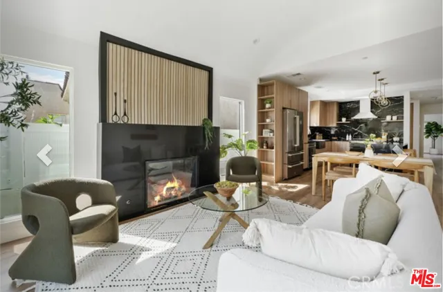 a living room with furniture a fireplace and a potted plant