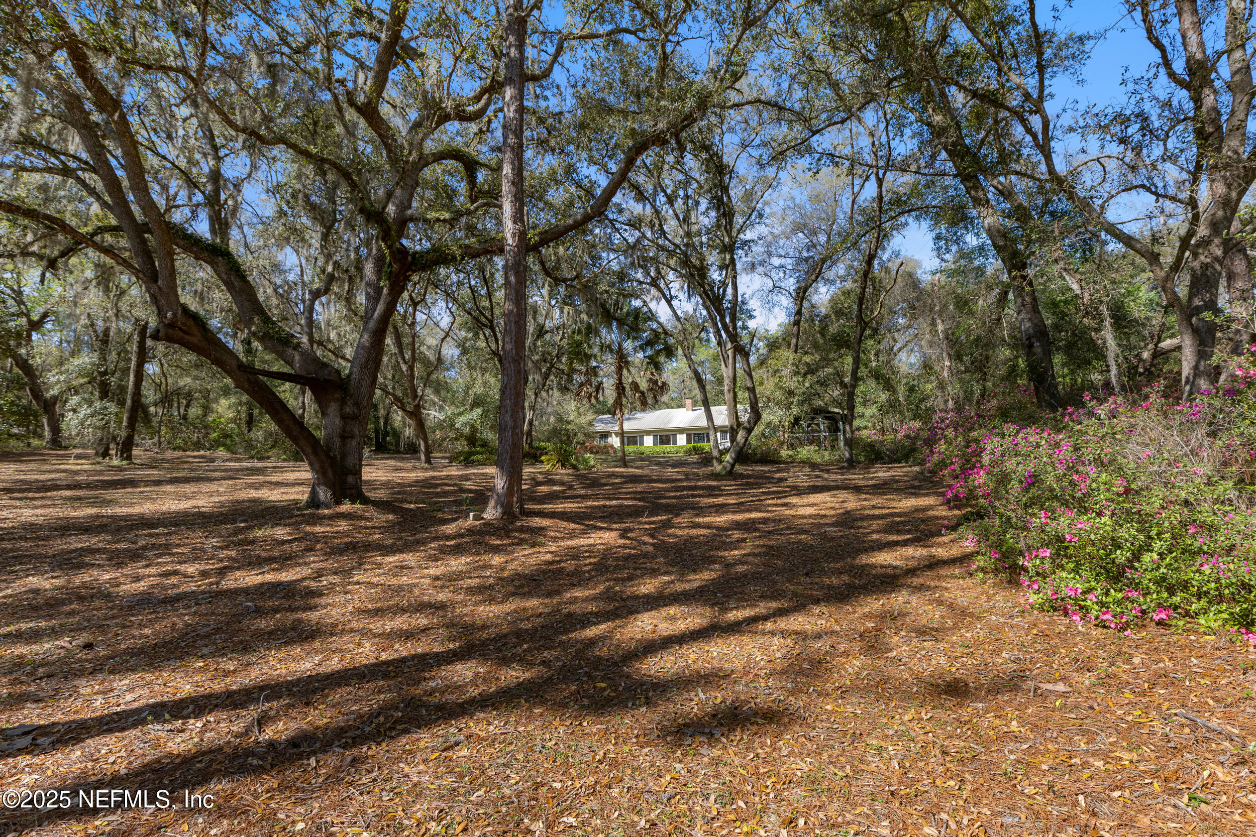 171 Bass Road Hawthorne, FL 32640 - Photo 43 of 55 56_img_3444