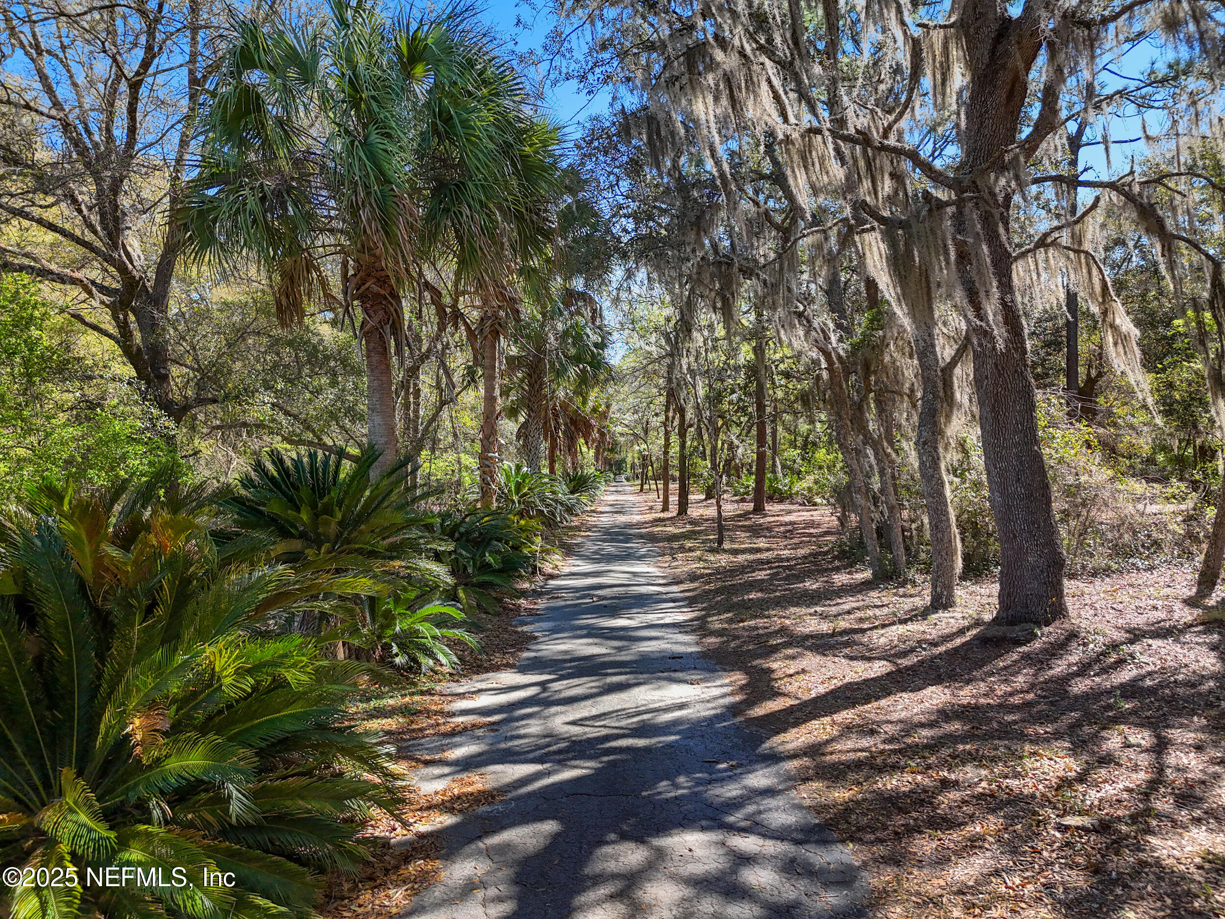 171 Bass Road Hawthorne, FL 32640 - Photo 46 of 55 11_dji_20250311235405_0248_d