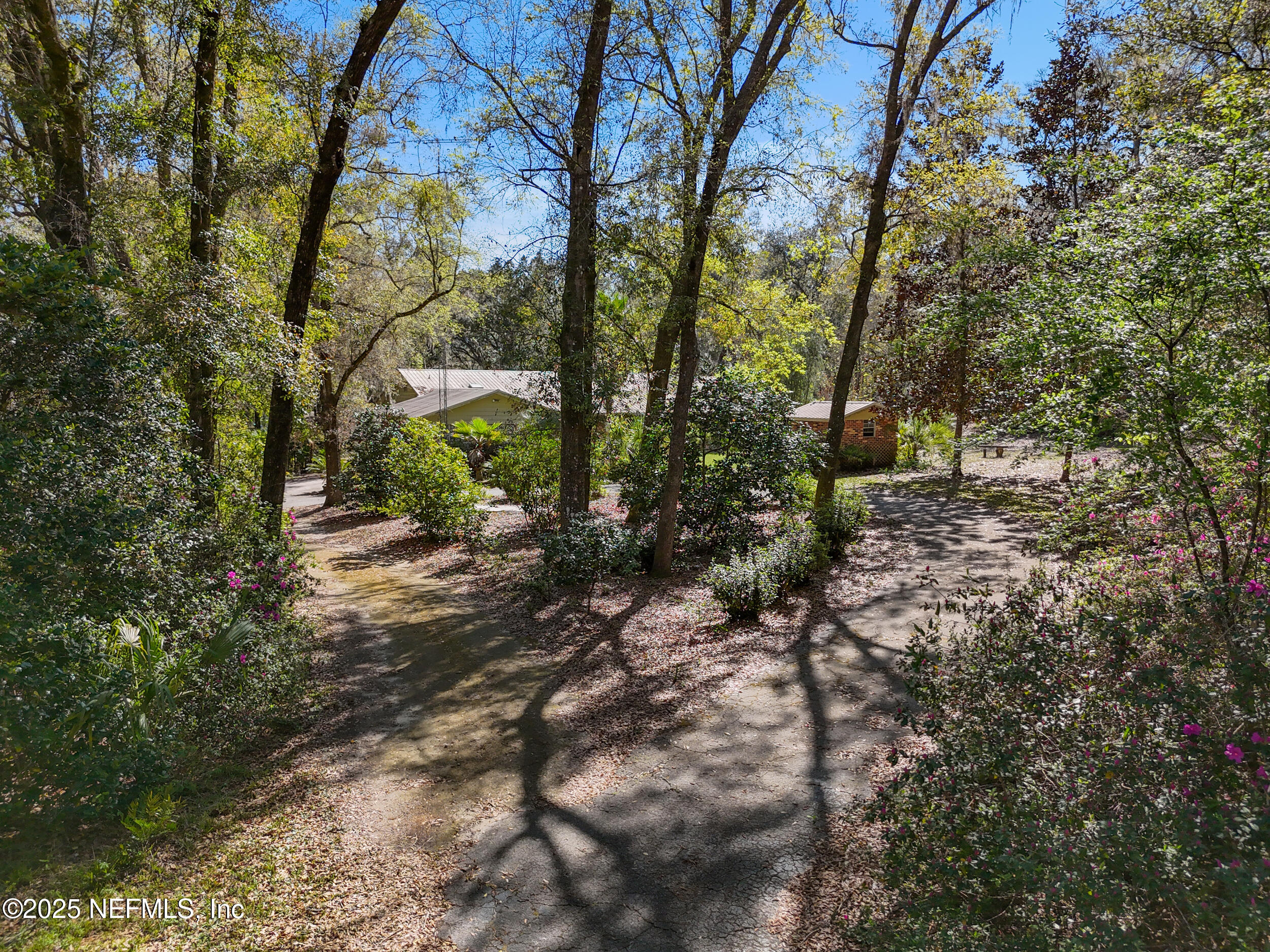 171 Bass Road Hawthorne, FL 32640 - Photo 54 of 55 8_dji_20250311234021_0206_d