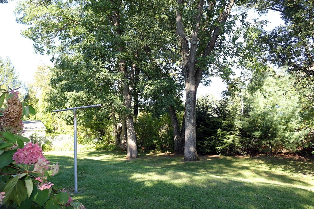 77 Winding Lane Springfield, MA 01118 - Photo 26 of 27