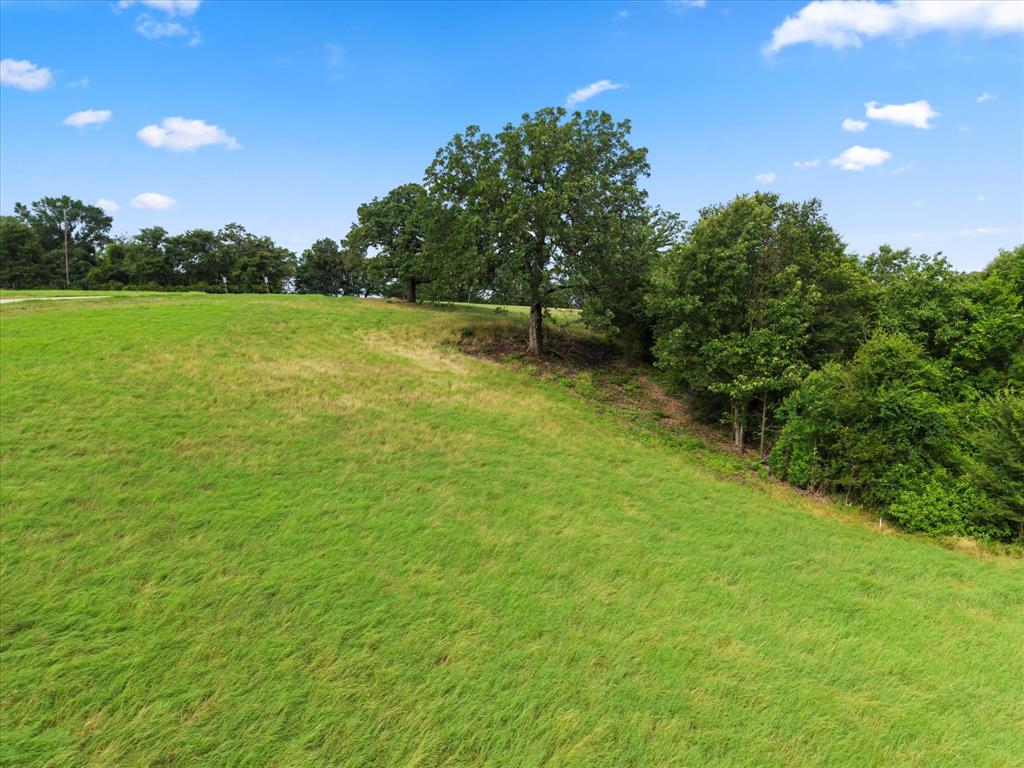 Tbd High Point Court Athens, TX 75752 - Photo 8 of 19