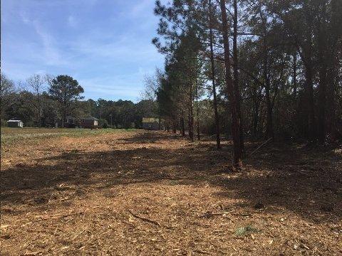 434 Dupre Road McClellanville, SC 29458 - Photo 16 of 16 McClellanville 2