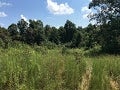 0 Neafus Road Morgantown, KY 42261 - Photo 2 of 4 Gallery Image 2