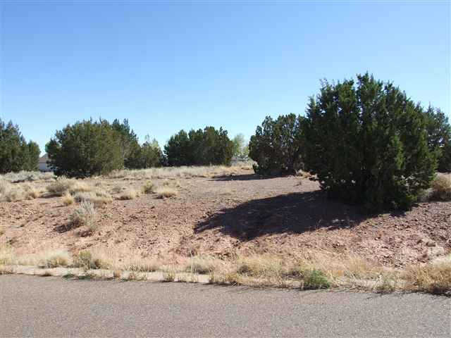 Lot 136 Snfk Golf Course Snowflake, AZ 85937 - Photo 1 of 3