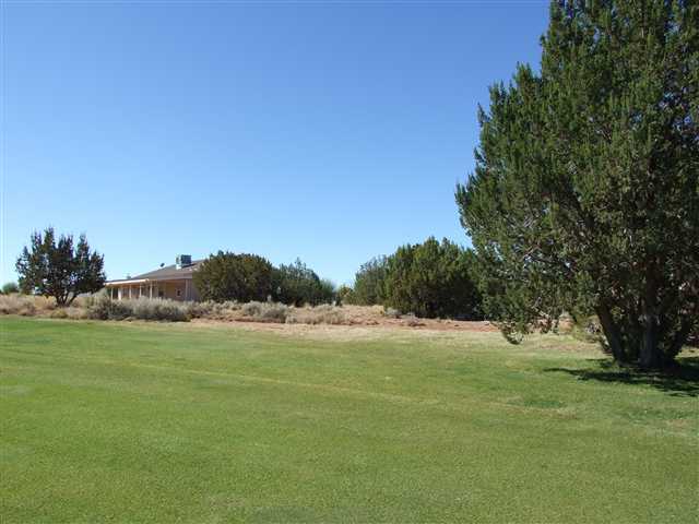 Lot 136 Snfk Golf Course Snowflake, AZ 85937 - Photo 3 of 3