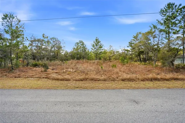 a view of city and ocean