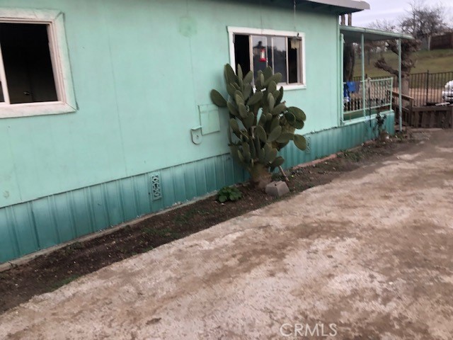 a plant is in front of a house