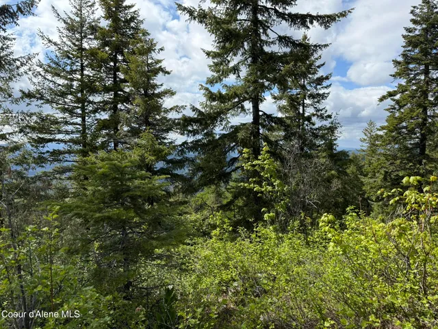 $89,700 | 371 Upriver View Drive, Fernwood, ID 83830