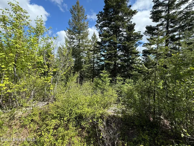 $89,700 | 371 Upriver View Drive, Fernwood, ID 83830