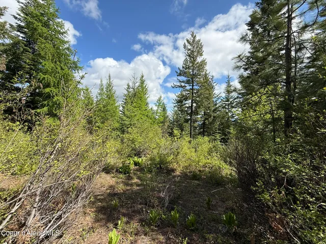 $89,700 | 371 Upriver View Drive, Fernwood, ID 83830