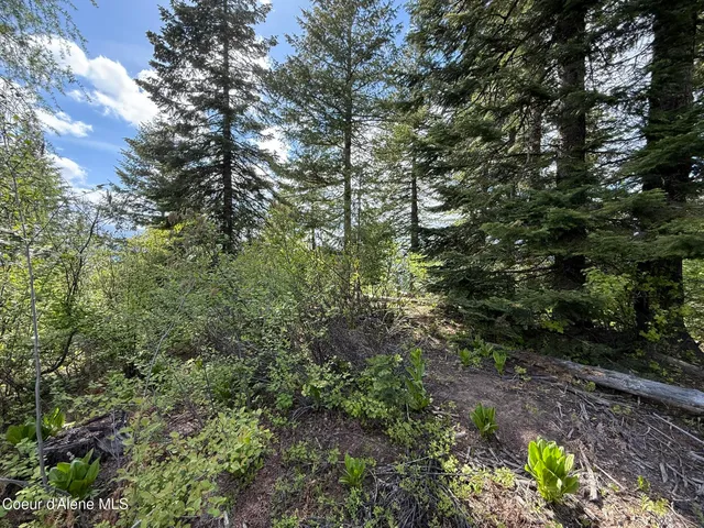 $89,700 | 371 Upriver View Drive, Fernwood, ID 83830