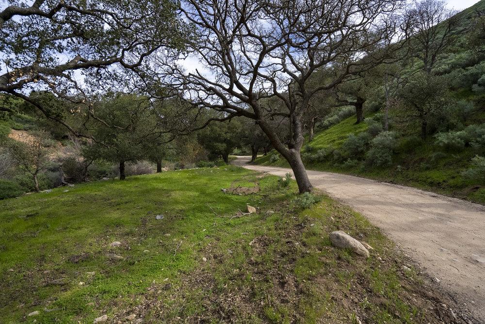 0 Bryant Canyon Road Soledad, CA 93960 - Photo 16 of 73 a big yard with lots of green space and trees