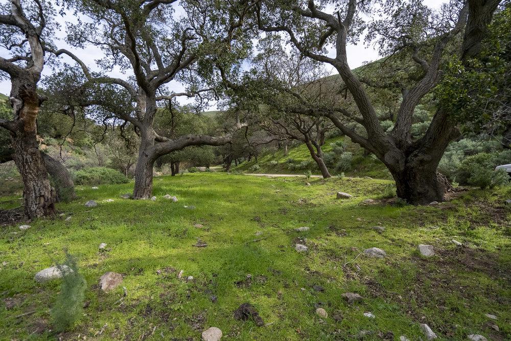 0 Bryant Canyon Road Soledad, CA 93960 - Photo 17 of 73 a view of outdoor space with a yard