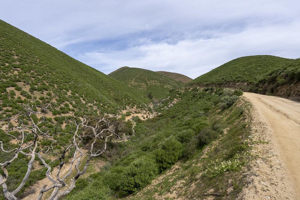 0 Bryant Canyon Road Soledad, CA 93960 - Photo 18 of 73 a view of a field with an ocean