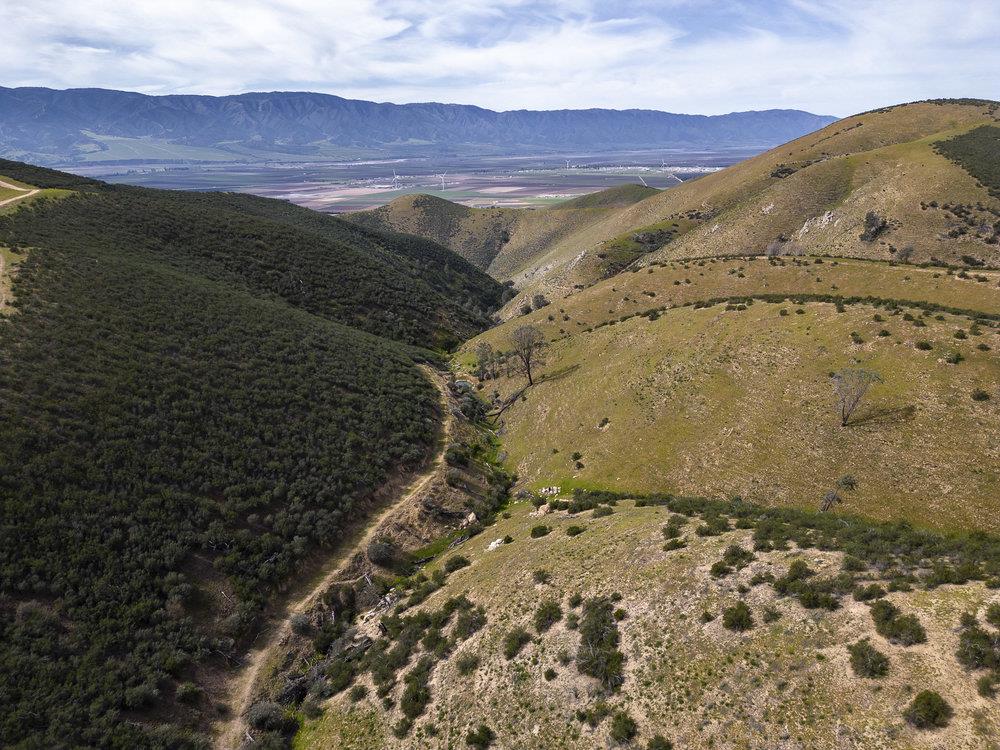 0 Bryant Canyon Road Soledad, CA 93960 - Photo 36 of 73 a view of a backyard of a house
