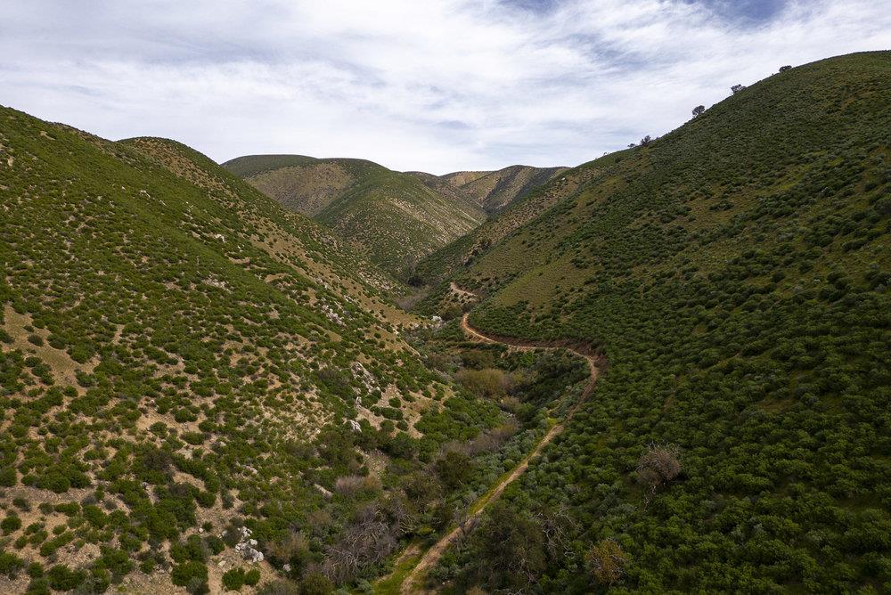 0 Bryant Canyon Road Soledad, CA 93960 - Photo 50 of 73 a view of a mountain range with lush green forest
