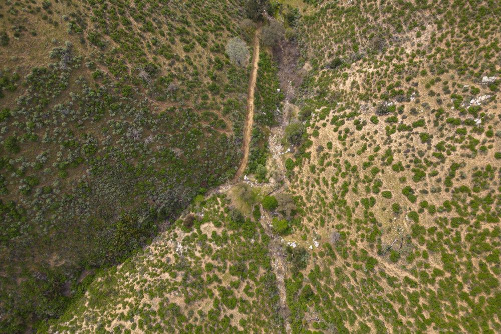 0 Bryant Canyon Road Soledad, CA 93960 - Photo 56 of 73 a bathroom with a shower curtain