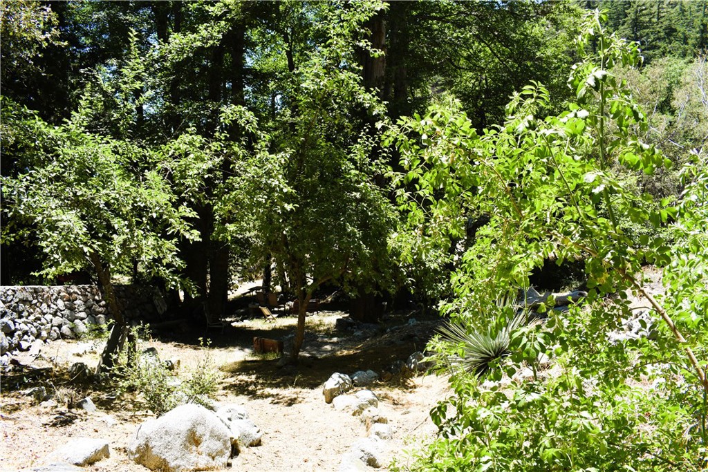 47 Ice House Mt Baldy, CA 91759 - Photo 18 of 21 Walking trail