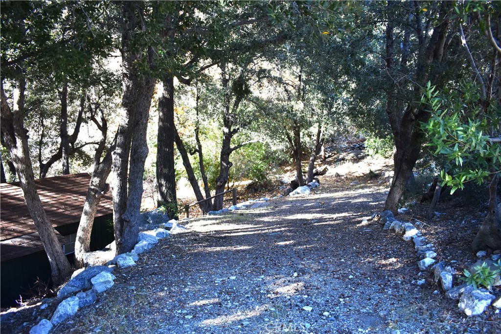 47 Ice House Mt Baldy, CA 91759 - Photo 20 of 21 Ample parking space in you own driveway
