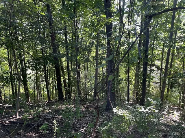 $27,900 | 70 Route Nunda Ny 14517, Hunt, NY 14846