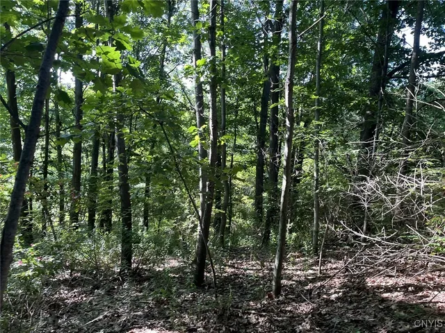 $27,900 | 70 Route Nunda Ny 14517, Hunt, NY 14846