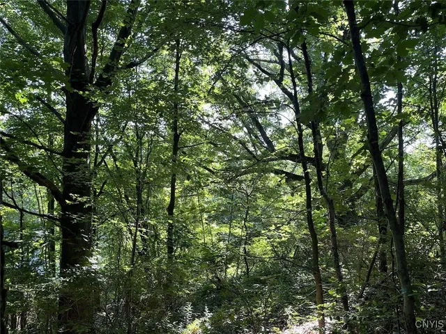 $27,900 | 70 Route Nunda Ny 14517, Hunt, NY 14846