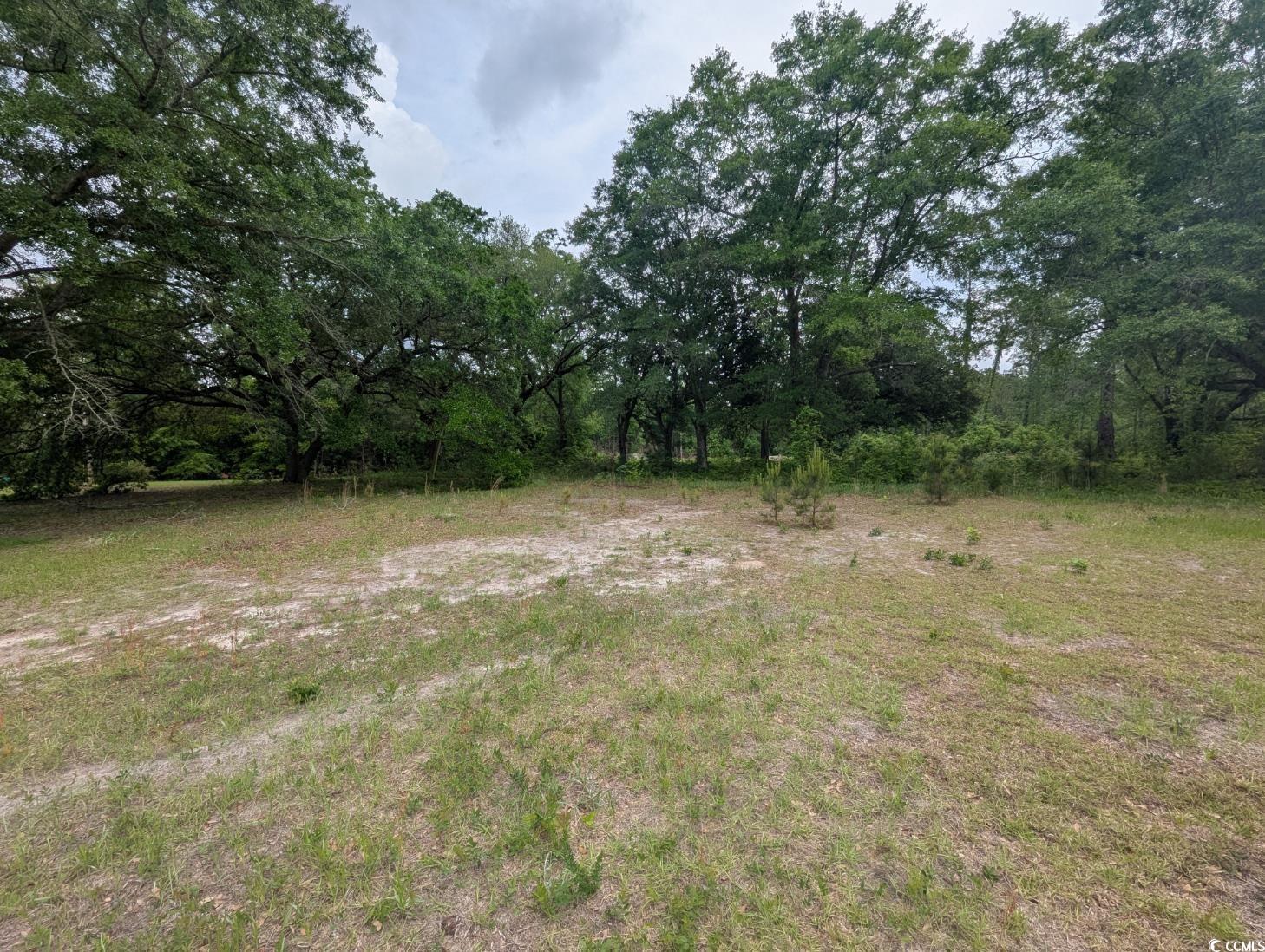 450 Hayfield Road Georgetown, SC 29440 - Photo 4 of 5 View of landscape