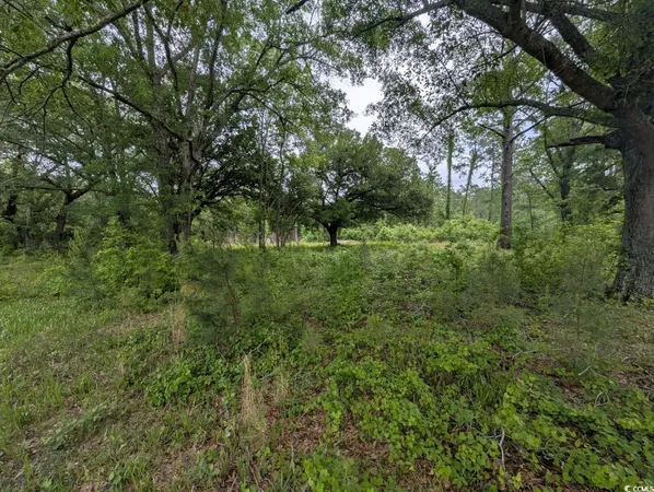 $79,999 | 450 Hayfield Road, Georgetown, SC 29440