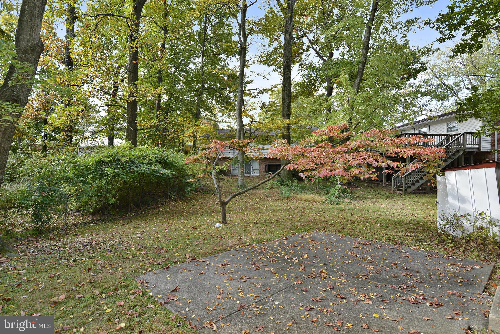 1008 Kersey Road Silver Spring, MD 20902 - Photo 28 of 30 Patio