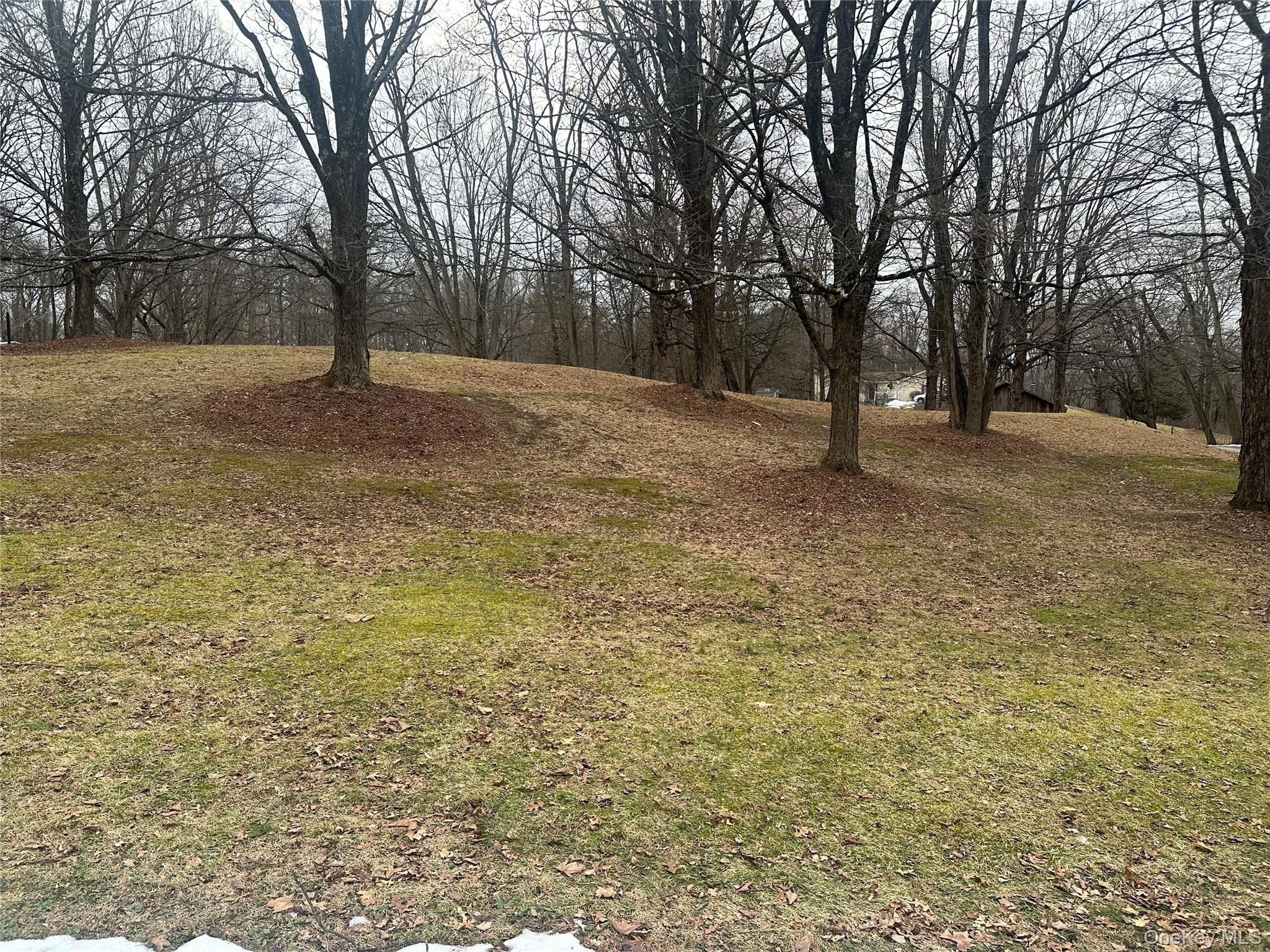 199 Old Route Red Hook, NY 12571 - Photo 2 of 8 a view of empty yard with trees