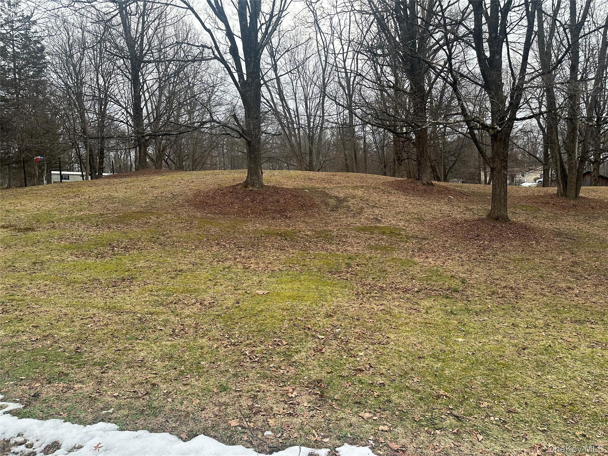 199 Old Route Red Hook, NY 12571 - Photo 3 of 8 a view of empty space with trees