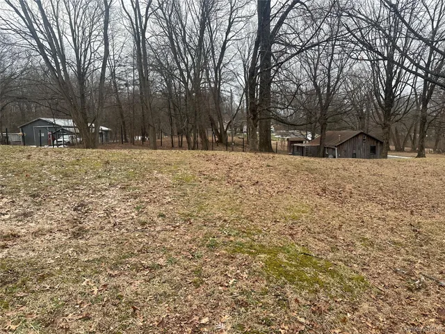 a backyard of a house with lots of green space