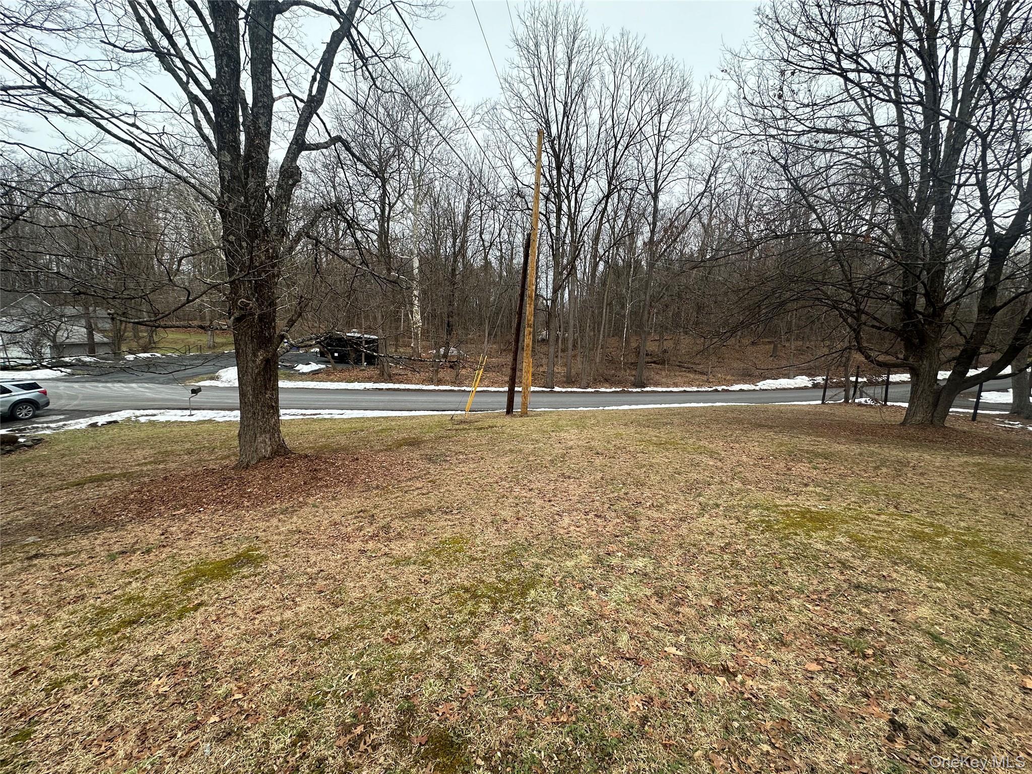 199 Old Route Red Hook, NY 12571 - Photo 8 of 8 a view of outdoor space with deck and trees