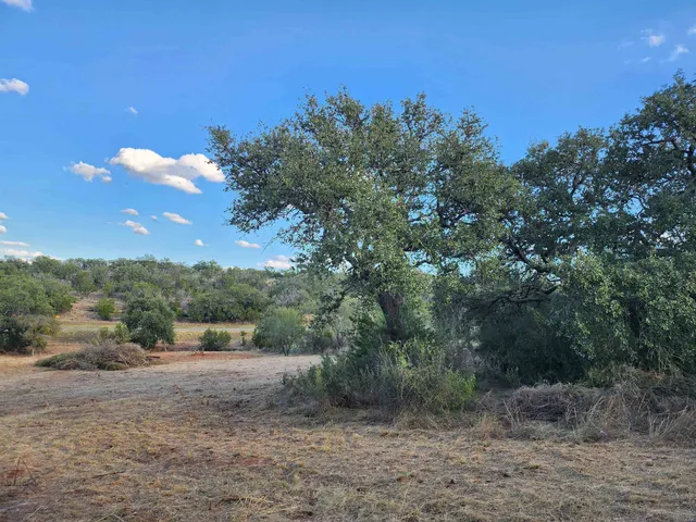 a view of a field of grass and trees