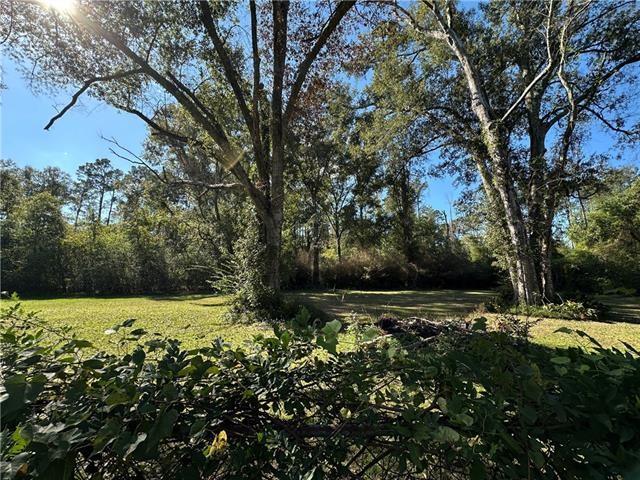 50052 Antioch Road Tickfaw, LA 70466 - Photo 23 of 34