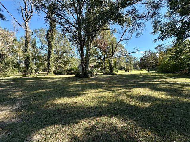 50052 Antioch Road Tickfaw, LA 70466 - Photo 27 of 34