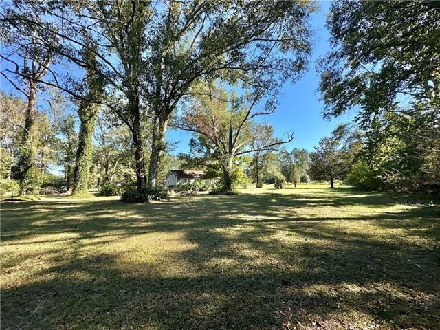 50052 Antioch Road Tickfaw, LA 70466 - Photo 28 of 34