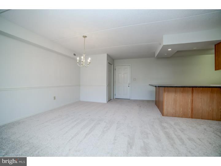 536 Brandon Road Norristown, PA 19403 - Photo 9 of 15 Gallery Image 9
