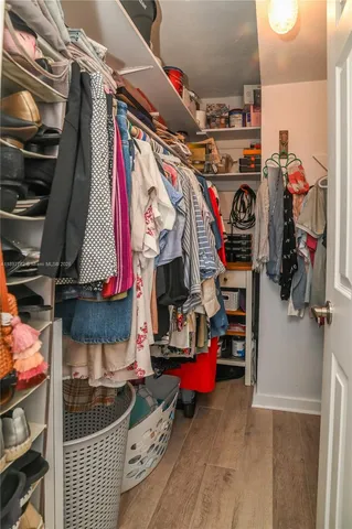 a view of a yard with a palm tree