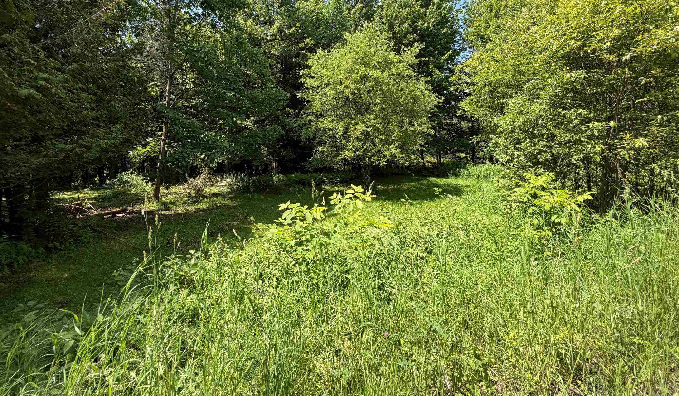 1090 Center Road, Unit LOT #3 Albany, VT 05845 - Photo 6 of 9