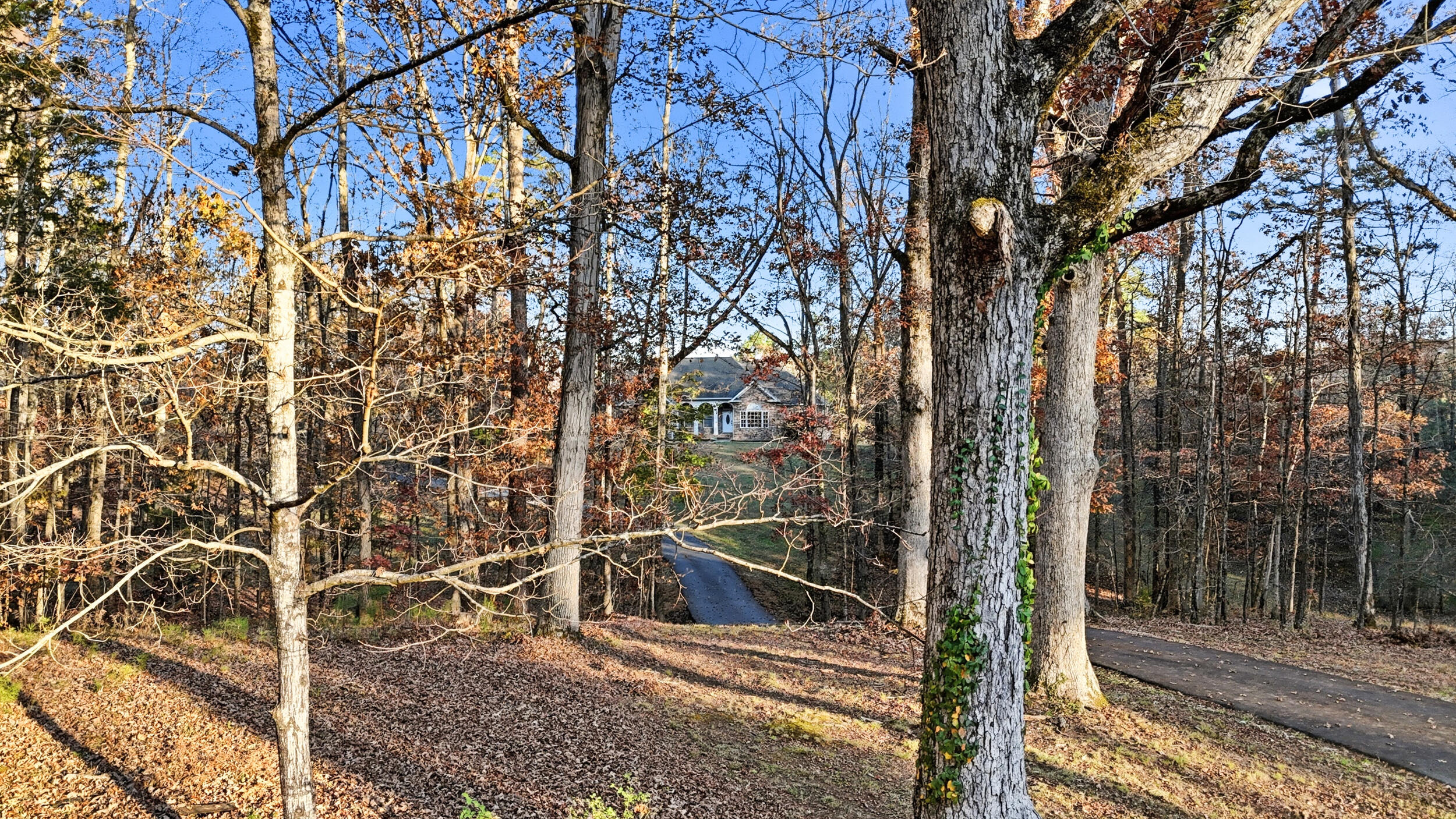 589 Johnston Road McDonald, TN 37353 - Photo 48 of 51 589 johnston rd-8