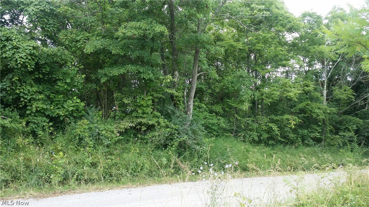 21230 Putney Ridge Road Salesville, OH 43778 - Photo 1 of 1 Gallery Image 1