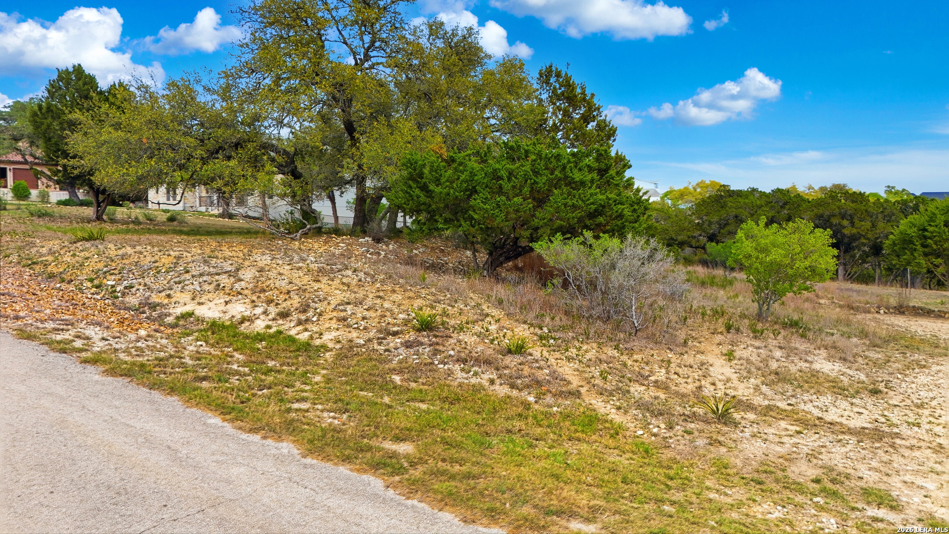1033 Bluewater Place Spring Branch, TX 78070 - Photo 4 of 14