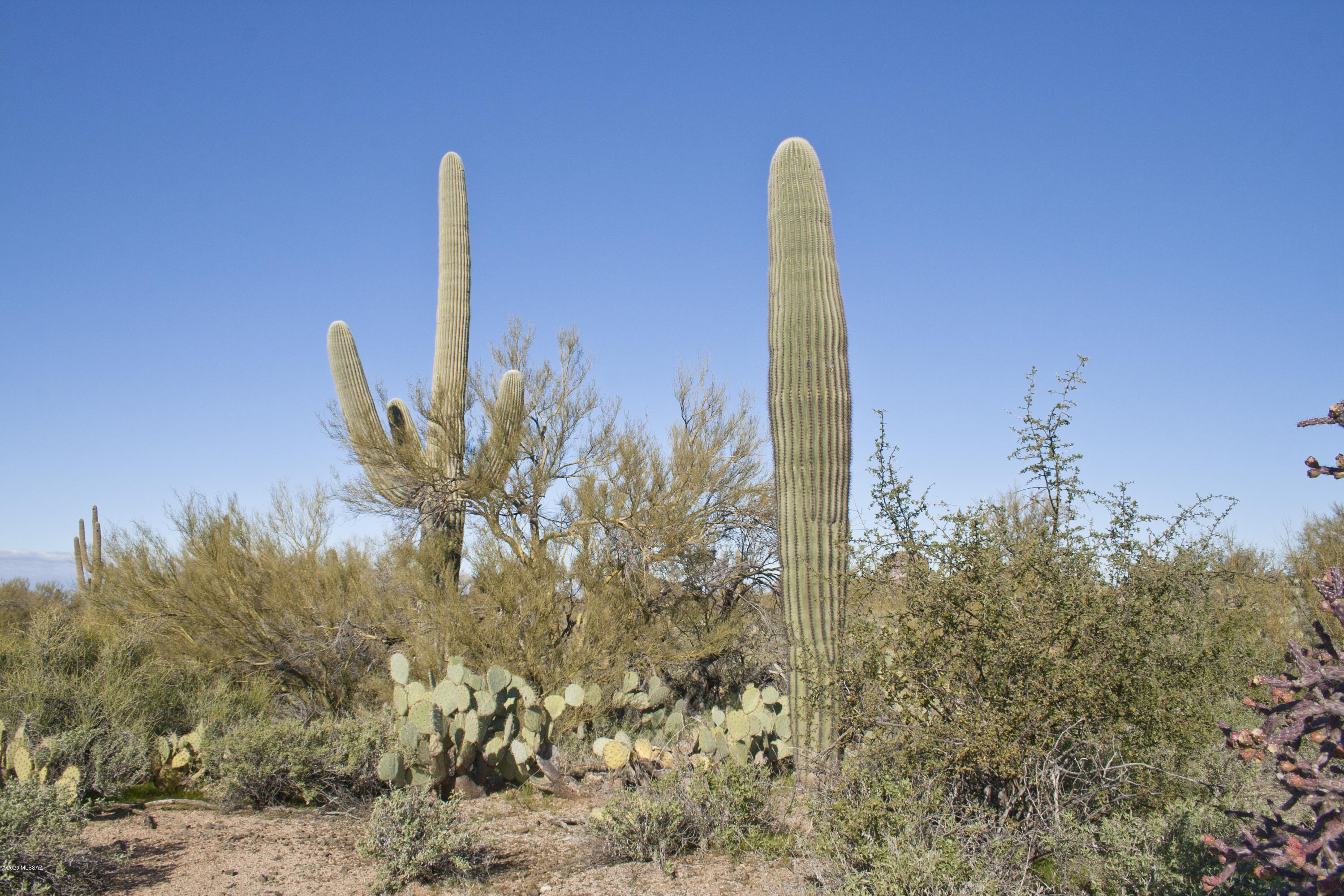 0 South Deerfield Road Marana, AZ 85658 - Photo 18 of 26