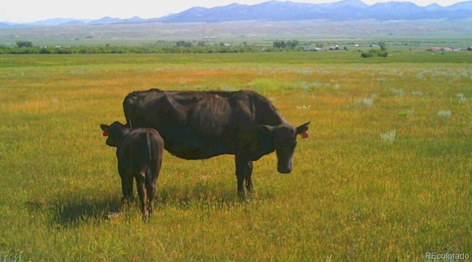119 County Road Westcliffe, CO 81252 - Photo 8 of 8