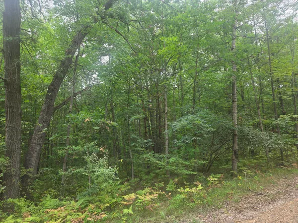 $5,500 | 7873 Wild Oaks Drive, Weidman, MI 48893