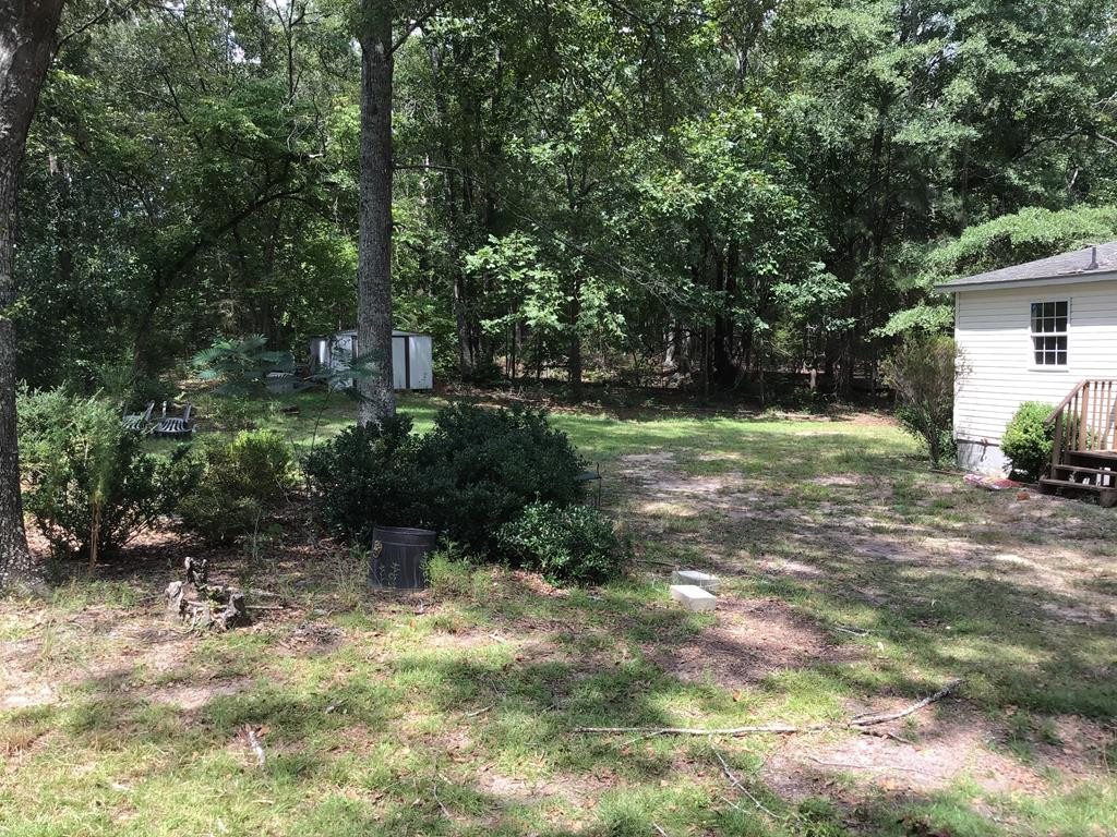 1100 Fox Young Road Wagener, SC 29164 - Photo 51 of 54